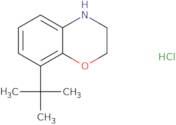 8-tert-Butyl-3,4-dihydro-2H-1,4-benzoxazine hydrochloride