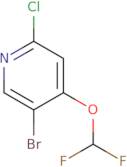 5-Bromo-2-chloro-4-(difluoromethoxy)pyridine