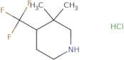 3,3-Dimethyl-4-(trifluoromethyl)piperidine hydrochloride