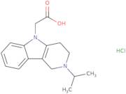 2-[2-(Propan-2-yl)-1H,2H,3H,4H,5H-pyrido[4,3-b]indol-5-yl]acetic acid hydrochloride