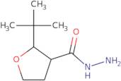 2-tert-Butyloxolane-3-carbohydrazide