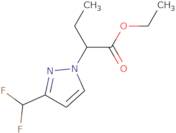 Ethyl 2-[3-(difluoromethyl)-1H-pyrazol-1-yl]butanoate