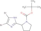 tert-Butyl 2-(4,5-dibromo-1H-imidazol-2-yl)pyrrolidine-1-carboxylate
