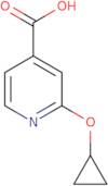 2-Cyclopropoxypyridine-4-carboxylic acid