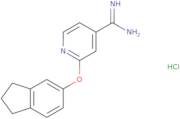 2-(2,3-Dihydro-1H-inden-5-yloxy)pyridine-4-carboximidamide hydrochloride