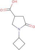 1-Cyclobutyl-5-oxopyrrolidine-3-carboxylic acid