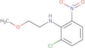 2-Chloro-N-(2-methoxyethyl)-6-nitroaniline