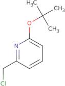 2-(tert-Butoxy)-6-(chloromethyl)pyridine