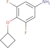 4-Cyclobutoxy-3,5-difluorobenzenamine