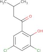 1-(3,5-Dichloro-2-hydroxyphenyl)-3-methylbutan-1-one