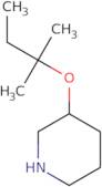 3-[(2-Methylbutan-2-yl)oxy]piperidine