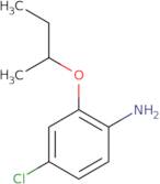 2-(Butan-2-yloxy)-4-chloroaniline