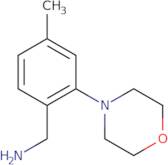 [4-Methyl-2-(morpholin-4-yl)phenyl]methanamine