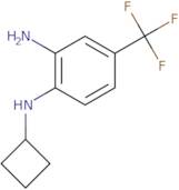 N1-Cyclobutyl-4-(trifluoromethyl)benzene-1,2-diamine