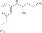 3-Ethoxy-N-(1-methoxypropan-2-yl)aniline