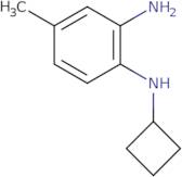 1-N-Cyclobutyl-4-methylbenzene-1,2-diamine