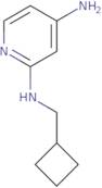 N2-(Cyclobutylmethyl)pyridine-2,4-diamine