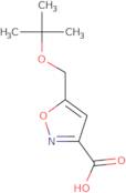 5-[(tert-Butoxy)methyl]-1,2-oxazole-3-carboxylic acid