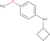 N-Cyclobutyl-4-methoxyaniline