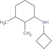 N-Cyclobutyl-2,3-dimethylcyclohexan-1-amine