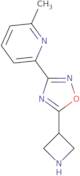 2-[5-(Azetidin-3-yl)-1,2,4-oxadiazol-3-yl]-6-methylpyridine
