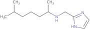 (1H-Imidazol-2-ylmethyl)(6-methylheptan-2-yl)amine