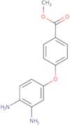 Methyl 4-(3,4-diaminophenoxy)benzenecarboxylate