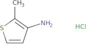 2-Methylthiophen-3-amine hydrochloride