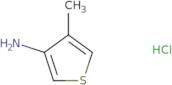 4-methylthiophen-3-amine hydrochloride