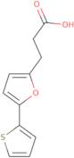 3-(5-Thiophen-2-yl-furan-2-yl)-propionic acid