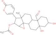 19-Oxocinobufatolin