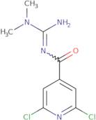 2,6-Dichloro-N-(N,N-dimethylcarbamimidoyl)pyridine-4-carboxamide