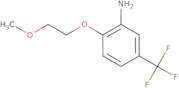 2-(2-Methoxyethoxy)-5-(trifluoromethyl)aniline