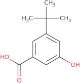 3-tert-Butyl-5-hydroxybenzoic acid