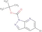 tert-Butyl 5-bromo-1H-pyrazolo[3,4-b]pyridine-1-carboxylate