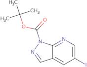 tert-Butyl 5-iodo-1H-pyrazolo[3,4-b]pyridine-1-carboxylate