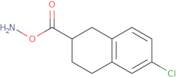 2-Amino-6-chloro-1,2,3,4-tetrahydro-naphthalene-2-carboxylic acid