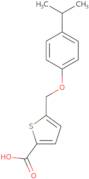 5-{[4-(Propan-2-yl)phenoxy]methyl}thiophene-2-carboxylic acid