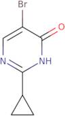 5-Bromo-2-cyclopropyl-3,4-dihydropyrimidin-4-one
