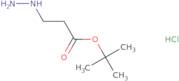 tert-Butyl 3-hydrazinylpropanoate hydrochloride