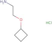 2-Cyclobutoxyethan-1-amine hydrochloride