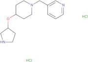 3-{[4-(Pyrrolidin-3-yloxy)piperidin-1-yl]methyl}pyridine dihydrochloride