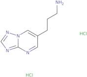 3-{[1,2,4]Triazolo[1,5-a]pyrimidin-6-yl}propan-1-amine dihydrochloride