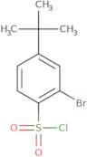 2-Bromo-4-tert-butylbenzenesulfonyl chloride