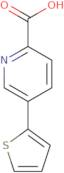 5-(Thiophen-2-yl)pyridine-2-carboxylic acid