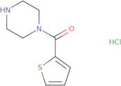 Piperazin-1-yl-thiophen-2-yl-methanonehydrochloride