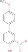 3-Methyl-6-nitro-3H-benzothiazol-2-ylideneamine