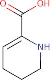 1,4,5,6-Tetrahydropyridine-2-carboxylic acid