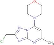 4-[2-(Chloromethyl)-5-methyl-[1,2,4]triazolo[1,5-a]pyrimidin-7-yl]morpholine