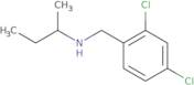 (Butan-2-yl)[(2,4-dichlorophenyl)methyl]amine